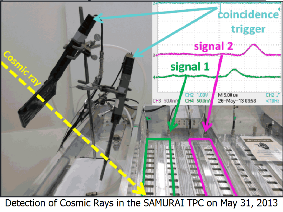 Detection of Cosmic rays in the SAMURAI TPC on May 31,2013
